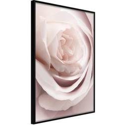 Arkiio Affisch Porcelain Rose [Poster] 30x45 Poster